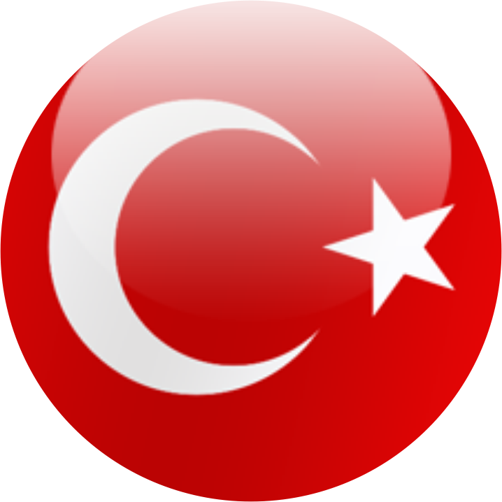 Türkçe